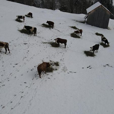 Hotel Casa Agroturistica Tarancuta Din Vatra Moldoviţei Zewnętrze zdjęcie